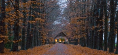 Een prachtige herfstsfeer bij landgoed De Laan in Overberg 
