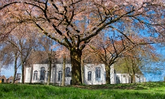 Voorjaar bij de Oude Kerk in Veenendaal 