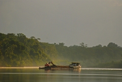 In de ochtendnevel op de Surinamerivier.